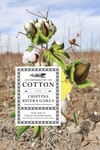 The Lives That Cotton Made