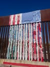 Walking along the Border on Election Day: An On-the-Ground Report and Reflection